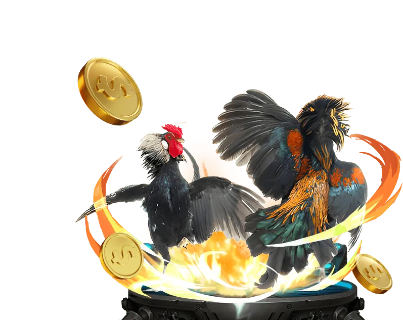 Hướng dẫn bắt đầu chơi slot